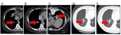 1542796302522970.jpg 640.webp (3).jpg