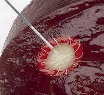 1542796362528629.jpg 640.webp (8).jpg