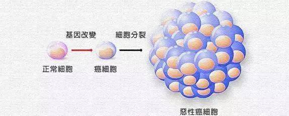 1542850618142479.jpg 微信图片_20181122093602.jpg