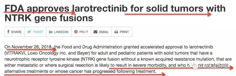 1543395012275736.jpg 640.webp (12).jpg