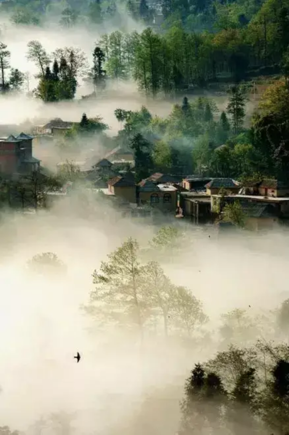 屏幕快照 2019-03-02 下午4.20.51.png