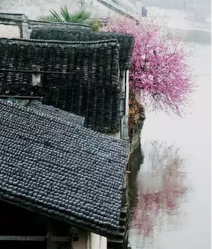 屏幕快照 2019-03-02 下午4.21.12.png