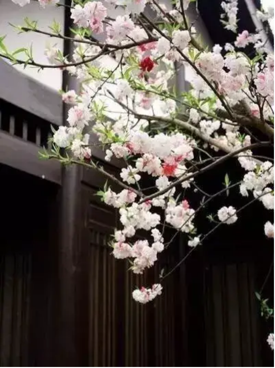 屏幕快照 2019-03-02 下午4.21.21.png