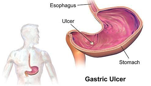 1556161343104142.png 搜狗截图19年04月25日1102_11.png