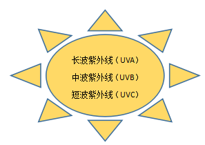 太阳.png