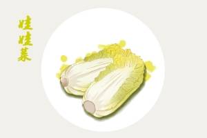 娃娃菜 可爱.jpg