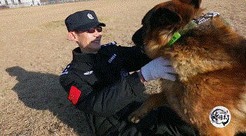 1560232202585265.png 搜狗截图19年06月11日1349_12.png