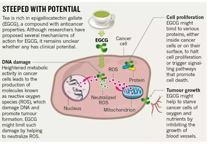 1561951935691590.png 1561951935691590.png