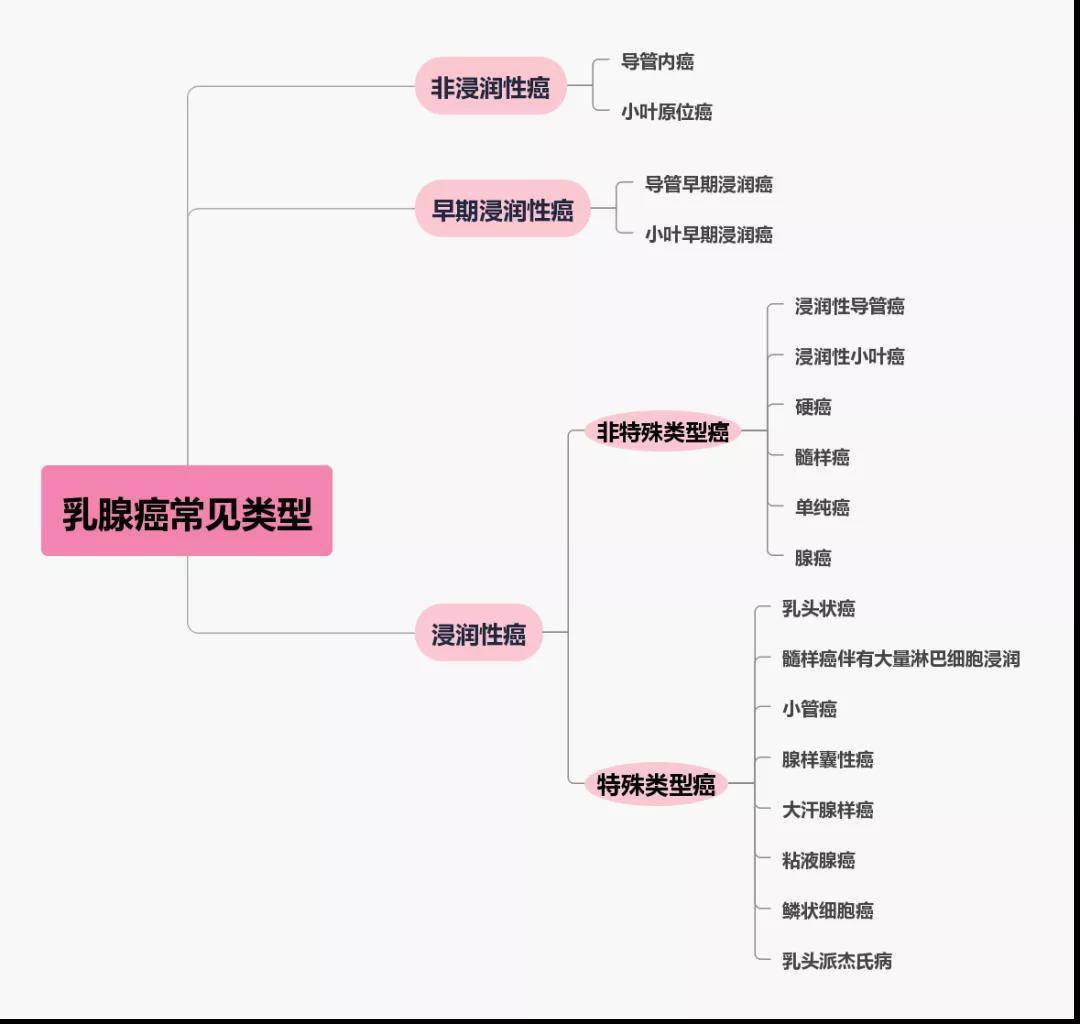 一文读懂乳腺癌病理报告单