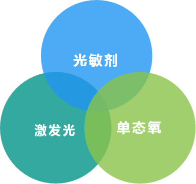 1568941983663677.png 2.png