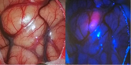 1568942043740979.png 6.png