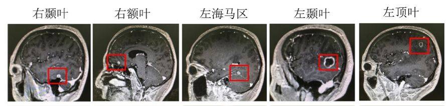 1569305395128633.jpeg 640-1.jpeg