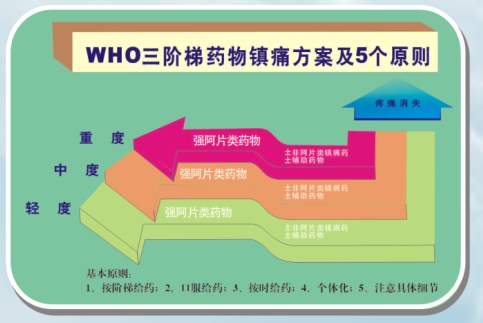 骨转移疼痛的止痛药治疗应遵循世界卫生组织癌症三阶梯止痛指导原则