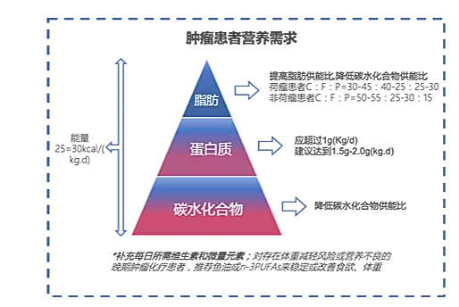 晚期胃肠道肿瘤营养不良率高达80一文教你怎么补