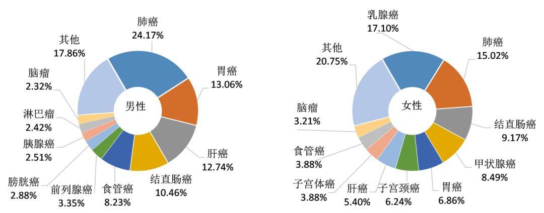 宫颈癌的哪8种症状表现图片_癌症的宫颈图片_宫颈癌症状的宫颈图片