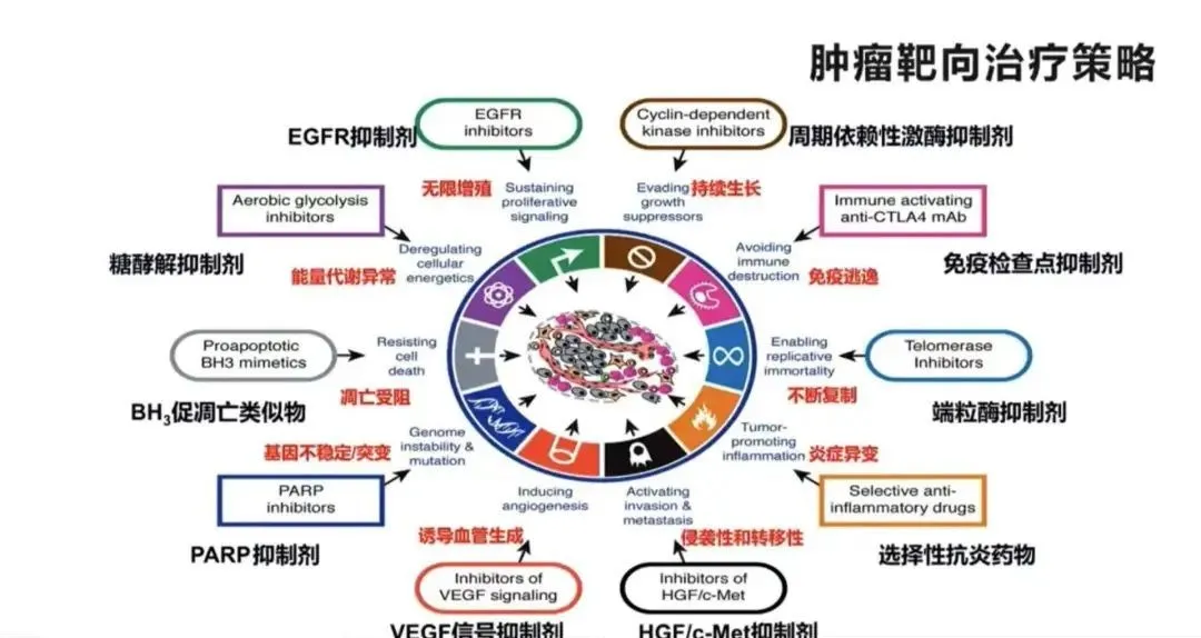 关于靶向治疗,你不得不知的几件事!