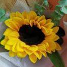 杨慧医生-柳州市工人医院肿瘤科