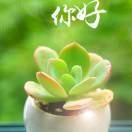 觅友_T893L94773158