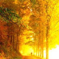 wx_9795785724