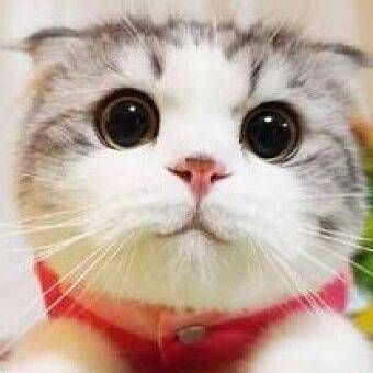 觅友_P715439S06664