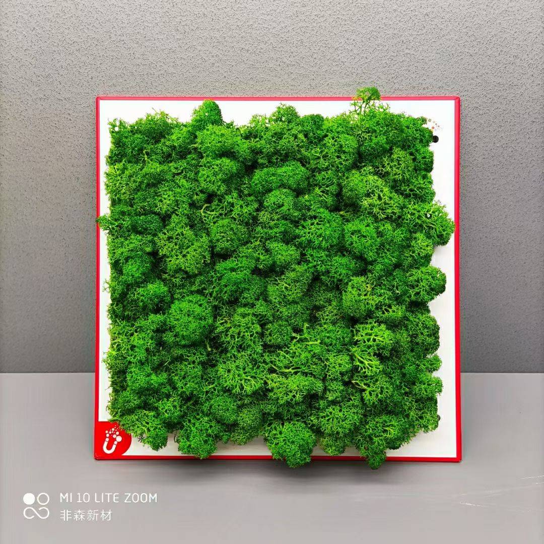 觅友_Y555184B44874