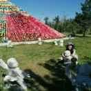 星雪薇肽酵素