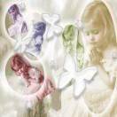 一刻宁静，一片天空