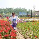 ˇ指尖的阳光╮