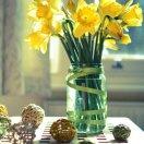 73天马行空2018.6-安徽