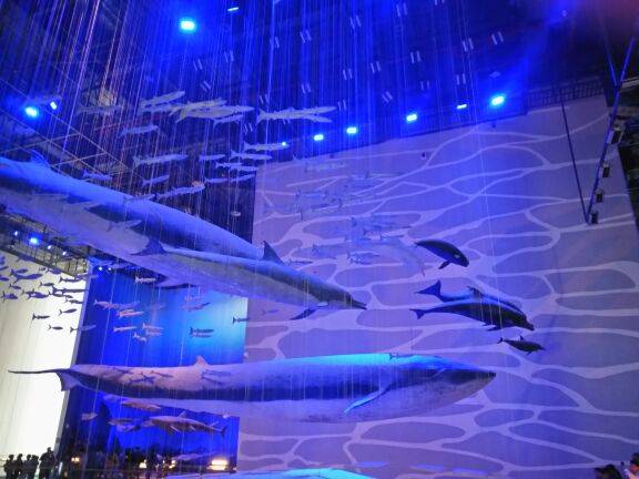 今天明天都美好