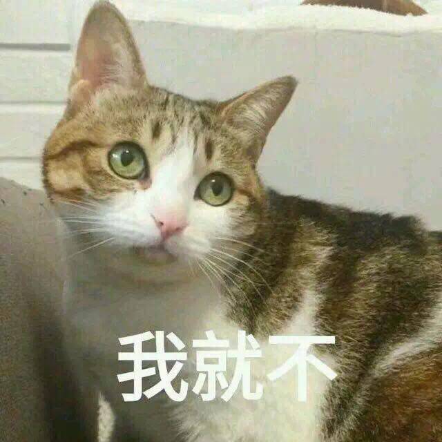 漫漫人