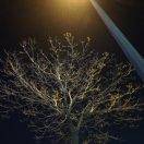 平安快乐健康幸福