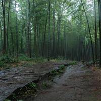 wx_3624532610