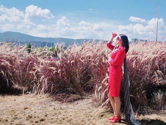 觅友_V600H31709154