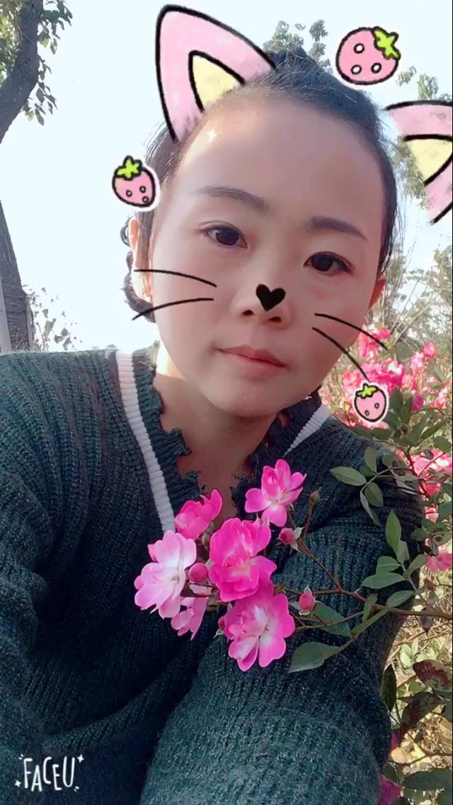 zhuzhaoying