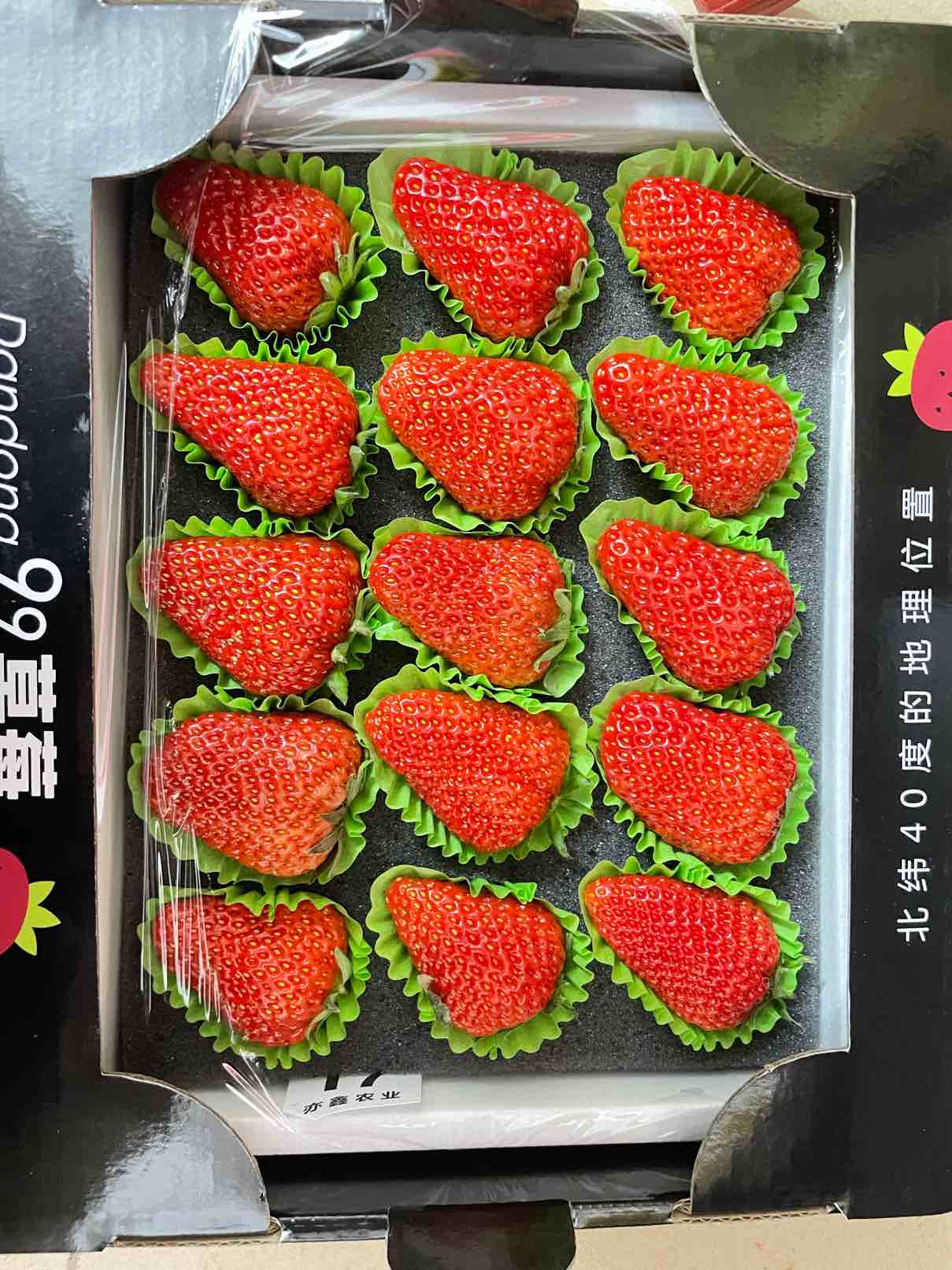 草莓106