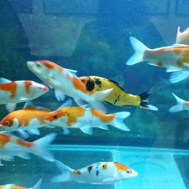 沈阳回中旗突泉大客