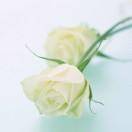 境由心生，感悟美妙。