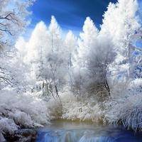 wx_1874669827
