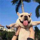 缓慢的沙滩裤7692