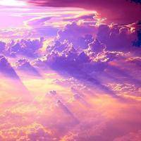 wx_2886755595