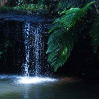 wx_5370236375