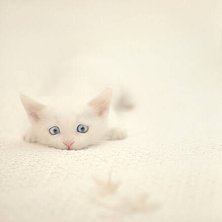 如果我变成回忆