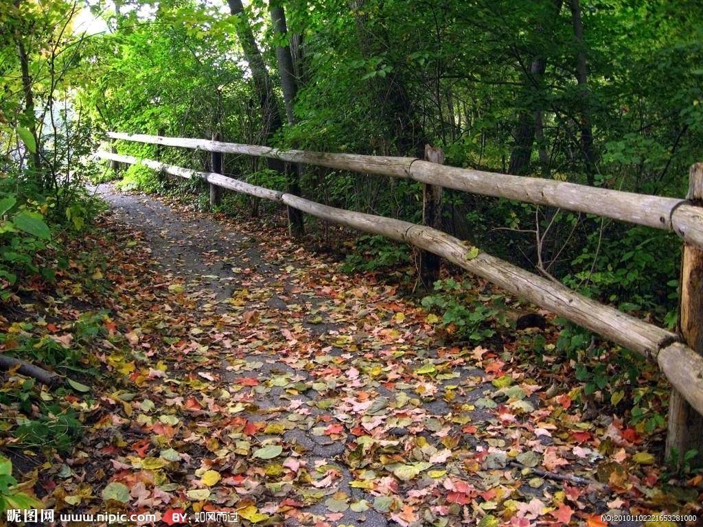 我在海南，天气晴