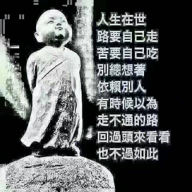 飞燕16--11-----76--6