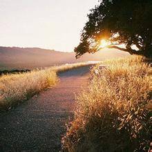 今天过年我回家，你呢？