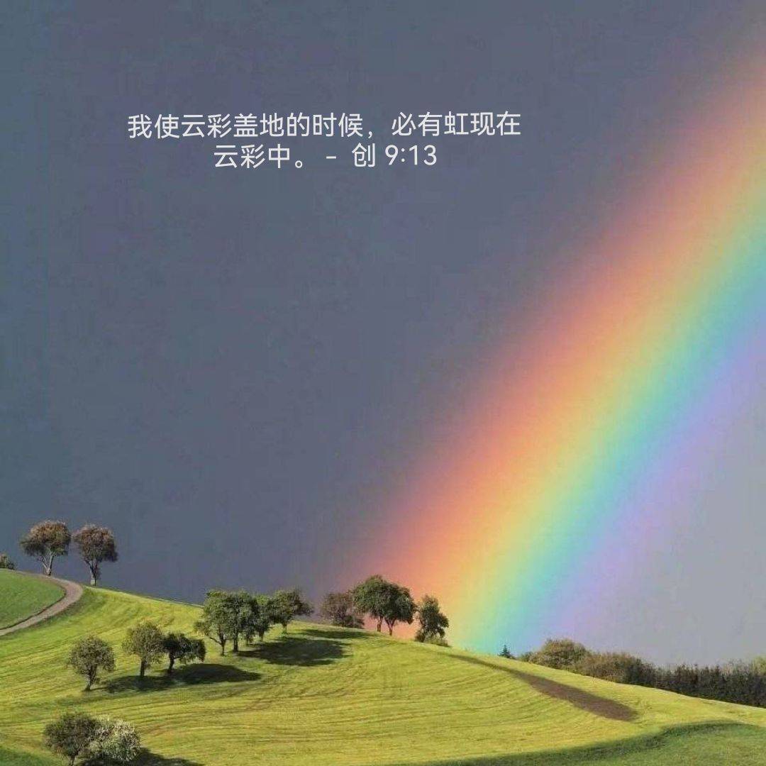 lii丽-雨后彩虹—重生