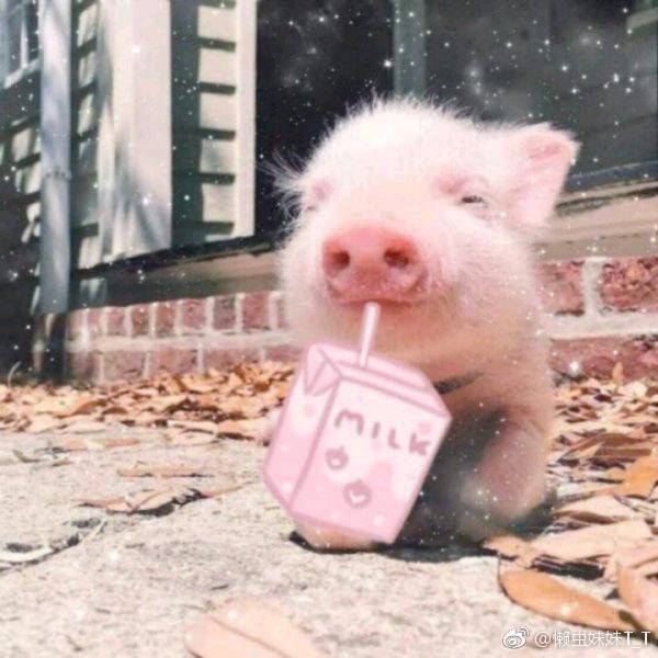 幸福一生顺心如意