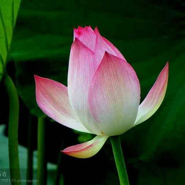 我一定要活得好好的