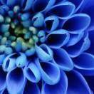 牵手一生137****8378